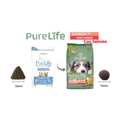 Pure Life Flatazor - Adult Medium