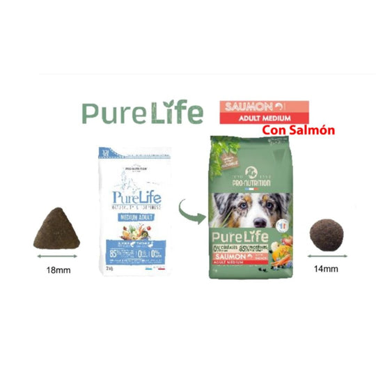 Pure Life Flatazor - Adult Medium