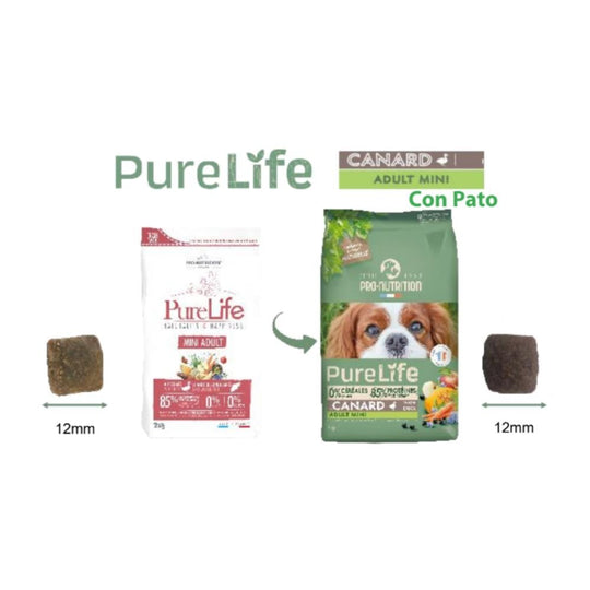 Pure Life Flatazor - Adult Mini