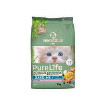 Pure Life Flatazor - Kitten Sardina