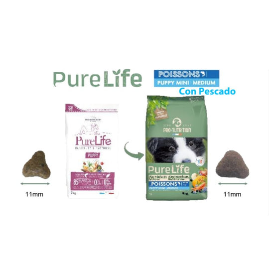 Pure Life Flatazor - Puppy