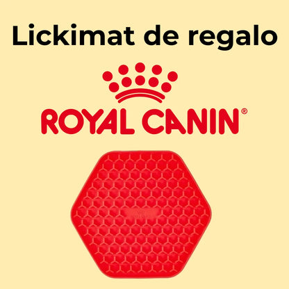 Regalo LickiMat Royal Canin