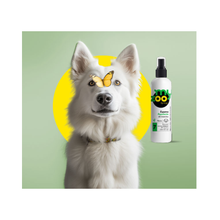 Myzoo Shampoo Neutro Para Perro Avena Coloidal