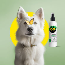 Myzoo Espuma Repelente de Insectos Para Perros