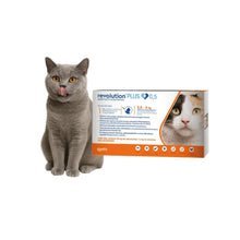 Revolution Plus Gato 2.5 - 5kg (0.5ml)