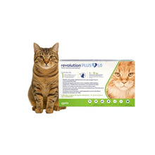 Revolution Plus Gato 5 - 10kg (1ml)