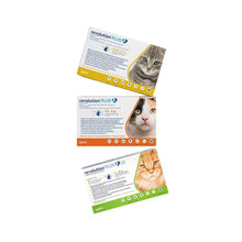 Revolution Plus Gato 1.25 - 2.5 k (0.25 ml)