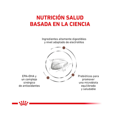 Royal Canin Gato Gastrointestinal 2 kg