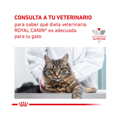 Royal Canin Gato Gastrointestinal 2 kg