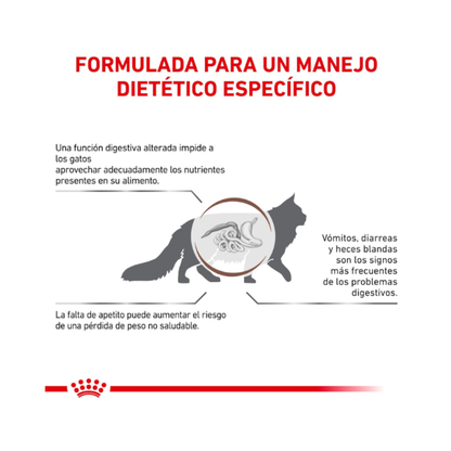 Royal Canin Gato Gastrointestinal 2 kg