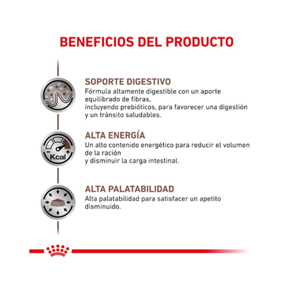 Royal Canin Gato Gastrointestinal 2 kg