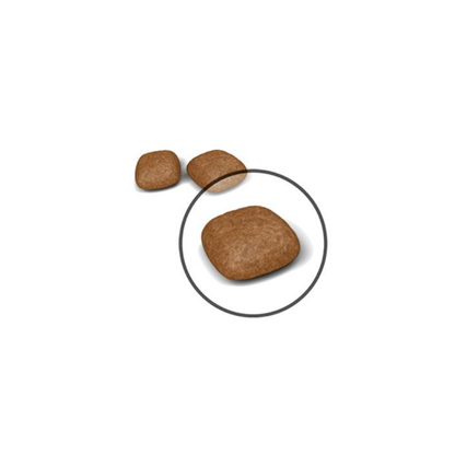 Royal Canin Gato Urinary Care 1.5 kg