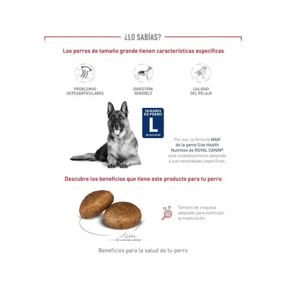 Royal Canin Maxi Adulto 12 k