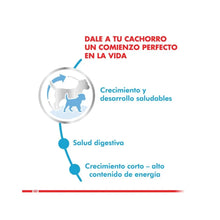 Royal Canin Medium Puppy 12 k