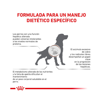 Royal Canin Perro Hepatic 10 kg