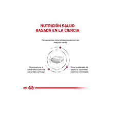 Royal Canin Perro Mobility Support 10Kg