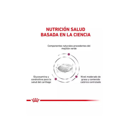 Royal Canin Perro Mobility Support 10Kg