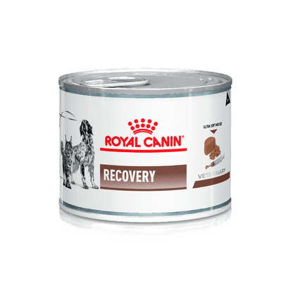 Royal Canin Perros y Gatos Recovery Lata 145 g