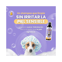 Shampoo de Avena Suave para Perros y Gatos 237 ml