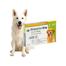 Simparica 20 - 40kg (80mg) 1 Comprimido