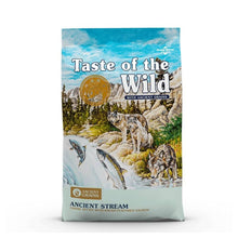 Taste Of The Wild Ancient Grains Stream Salmon Perro