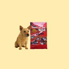 Taste Of The Wild Southwest Canyon Boar Jabalí 2Kg