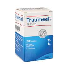 Traumeel 250 Comprimidos