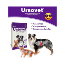Ursovet Suspensión Oral 60ml