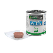 Vet Life Lata Perro Renal 300 gr