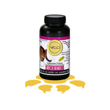 Vito Adulto Gato Polvo Oral 100 Gr
