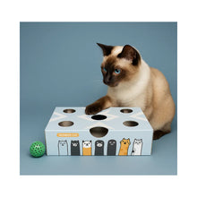 Wondercat Juguete Interactivo Caja con Bolas para Gato