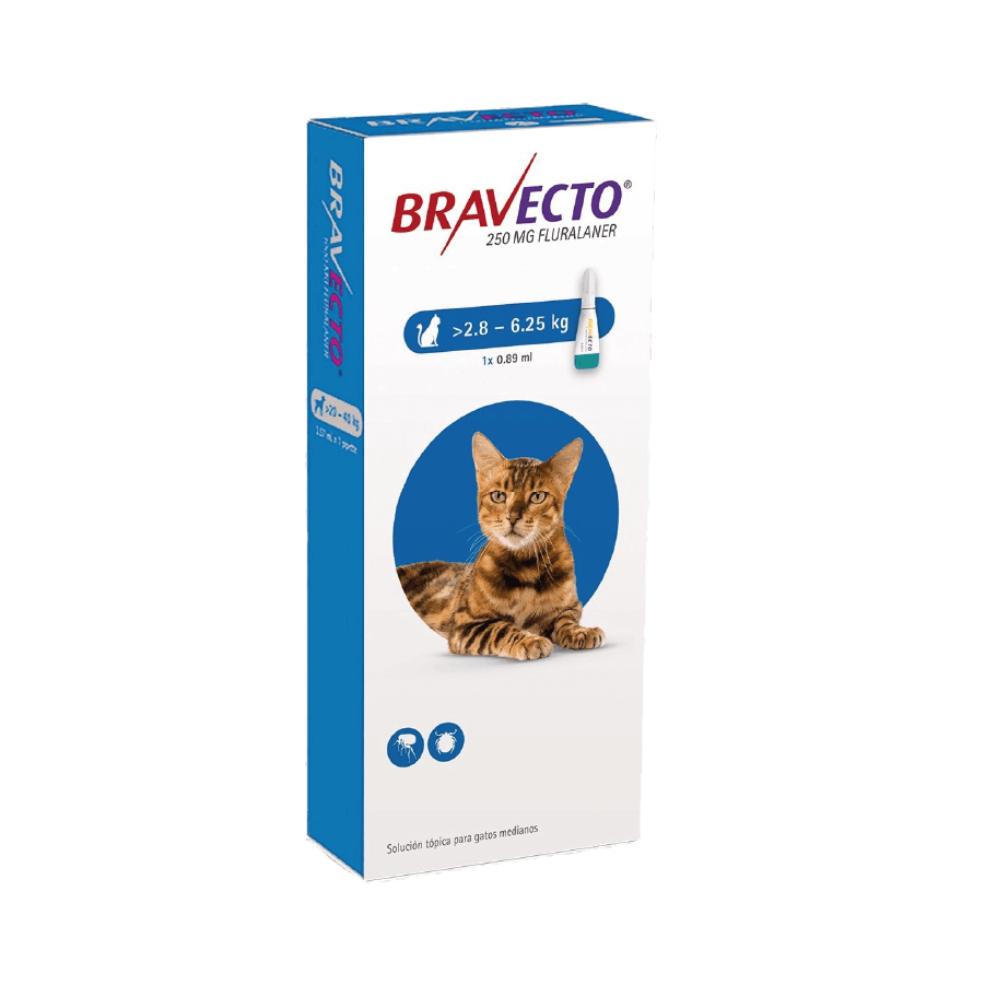 Bravecto Gato 2,8 - 6,25 KG (250 MG)